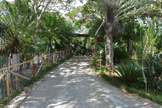 Casa Cielo Gated Entrance