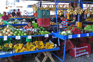 Santa Barbara Feria (Farmers' Market)